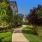 a path in a yard with trees and grass